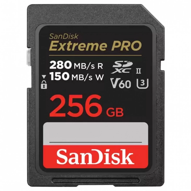 Флеш (Flash) карты SanDisk Extreme Pro SDSDXEP-256G-GN4IN (256 ГБ)