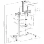 Опция к телевизору Brateck Мобильная стойка для ТВ TTL03H-610TW