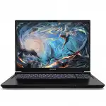 Ноутбук Colorful X16 Pro 23 A10003400438 (16 ", WQXGA 2560x1600 (16:10), Core i7, 16 Гб, SSD)