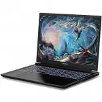 Ноутбук Colorful X16 Pro 23 A10003400438 (16 ", WQXGA 2560x1600 (16:10), Core i7, 16 Гб, SSD)