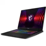 Ноутбук MSI Sword 17 HX B14VGKG-048XRU 9S7-17T214-048 (17 ", WQXGA 2560x1600 (16:10), Core i9, 16 Гб, SSD)