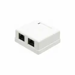 Сетевая розетка LANMASTER RJ45 кат.5e белый 2 порта TWT-SM2-4545-WH