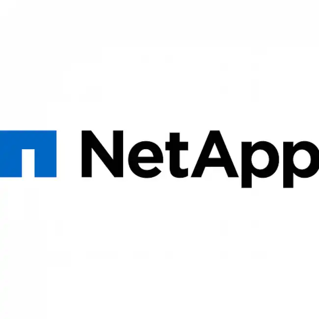 Серверный жесткий диск NetApp X357A-R6