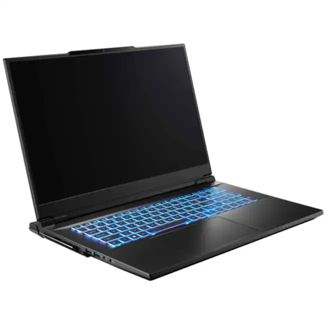 Ноутбук Colorful X17 Pro Max A10003400442 (17.3 ", WQHD 2560x1440 (16:9), Core i7, 32 Гб, SSD)