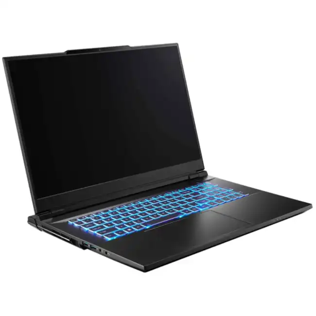 Ноутбук Colorful X17 Pro Max A10003400459 (17.3 ", WQHD 2560x1440 (16:9), Core i7, 32 Гб, SSD)